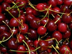 Ricetta - Dolce alle ciliegie